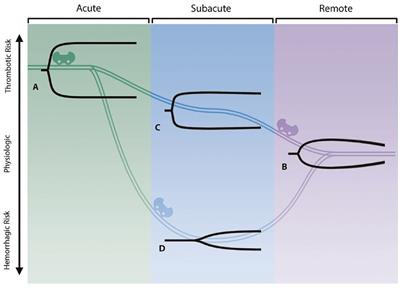 Editorial: The impact of COVID-19 on immune system-related complications in surgical patients